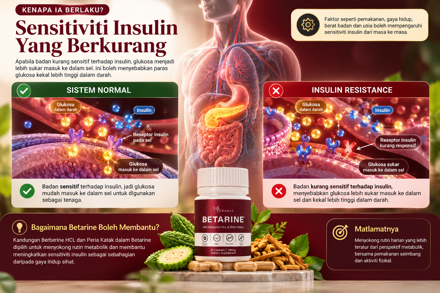 Infografik sensitiviti insulin dan proses glukosa
